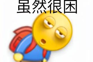 开云足球平台官网登录入口截图4